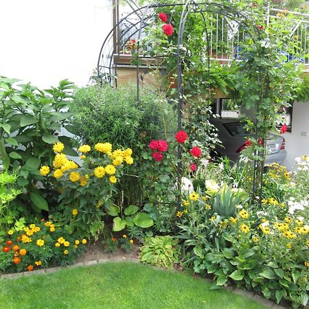 Abendstille Am Obstgarten Mit Terrasse Zapfendorf Zewnętrze zdjęcie